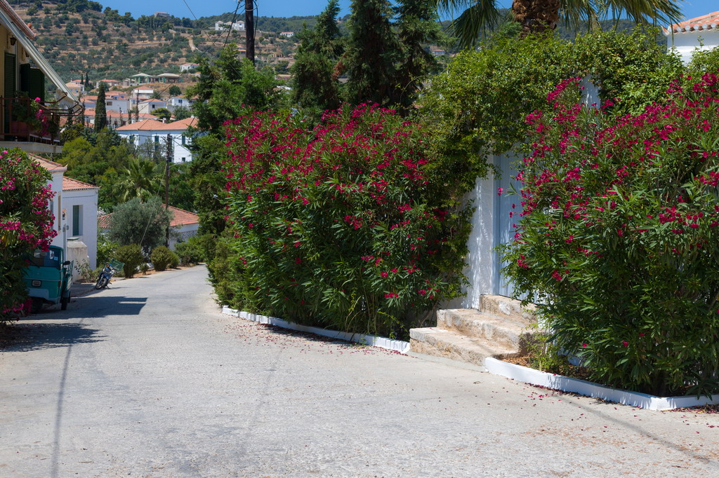  Ostrvo Spetses 